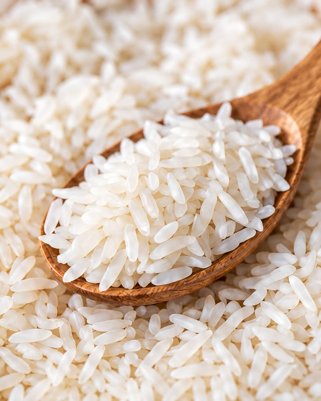 Rice Mills