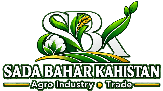 SADA BAHAR KOHISTAN