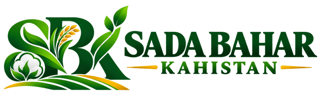 SADA BAHAR KOHISTAN