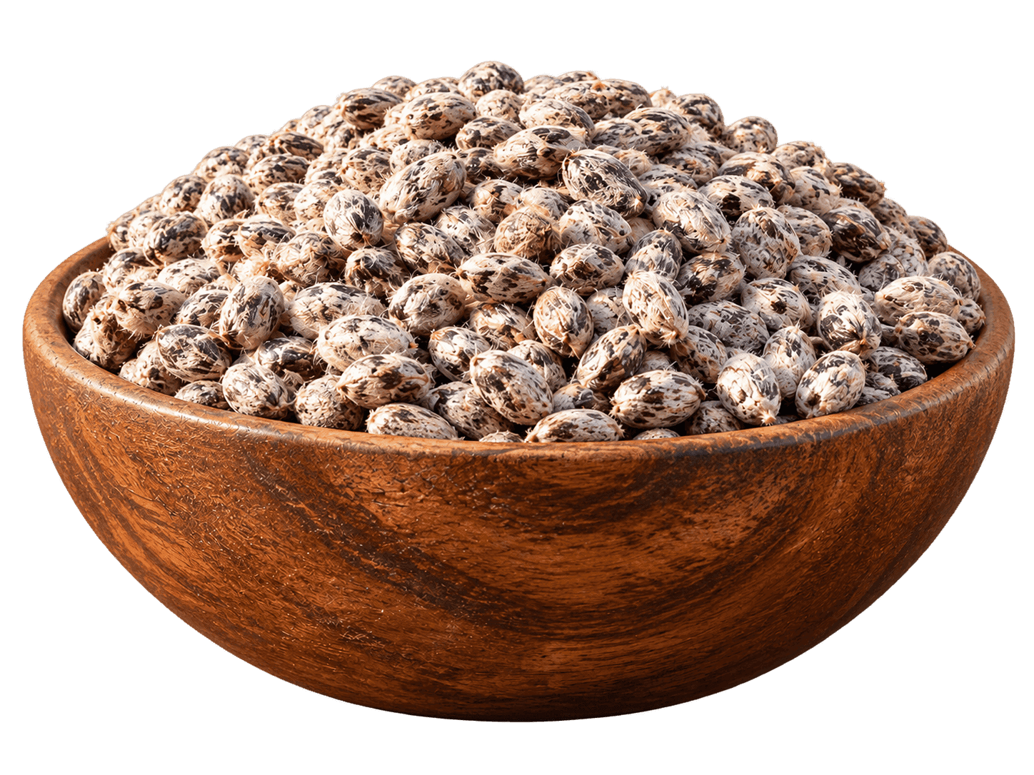 Cotton seed
